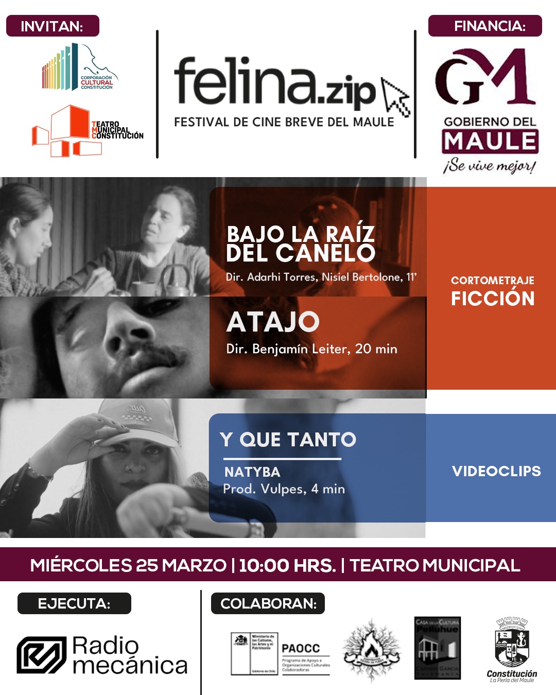 FELINA.ZIP Y CORPORACIÓN CULTURAL DE CONSTITUCIÓN OFRECEN CINE BREVE CHILENO PARA JÓVENES